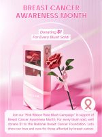 رژگونه کرمی طرح گل رز شیگلم Sheglam Pink Ribbon Rose Blush - تصویر 2