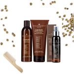 اسپری مغذی و ضد ریزش مو فیلیپ مارتینز PHILIP MARTINS مدل Scalp Nutriment Spray حجم 100 میل - تصویر 2